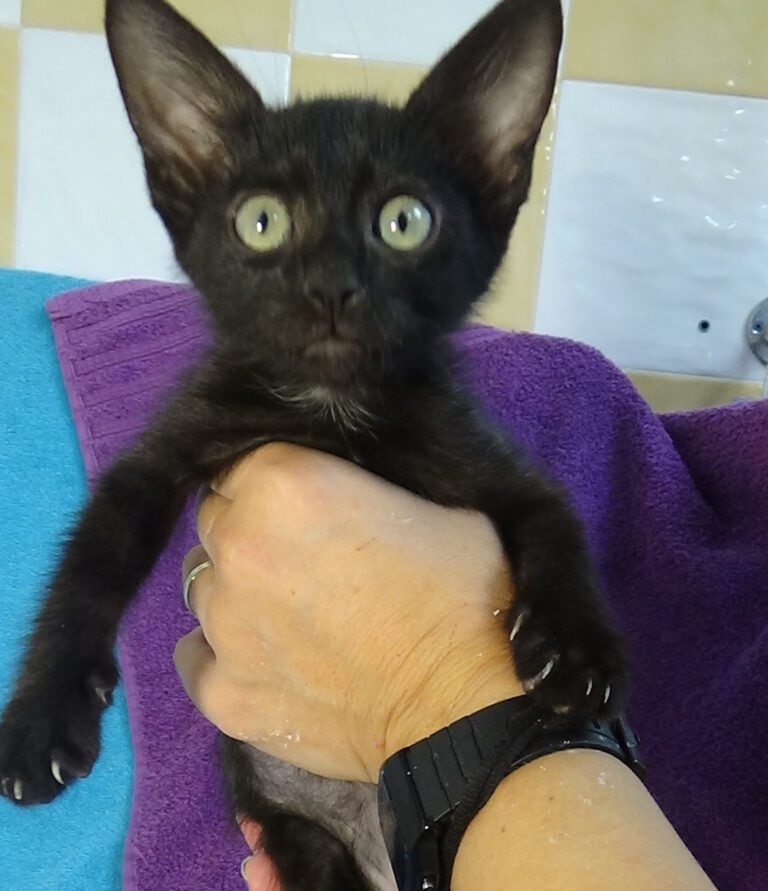 multimedia-foto53602-656-1