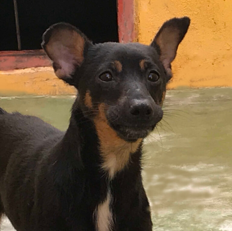 multimedia-foto53608-961-1