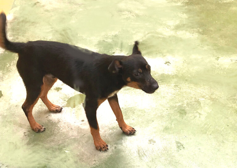 multimedia-foto53610-962-1