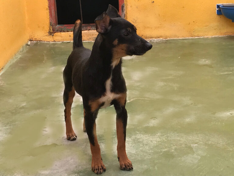 multimedia-foto53611-962-1