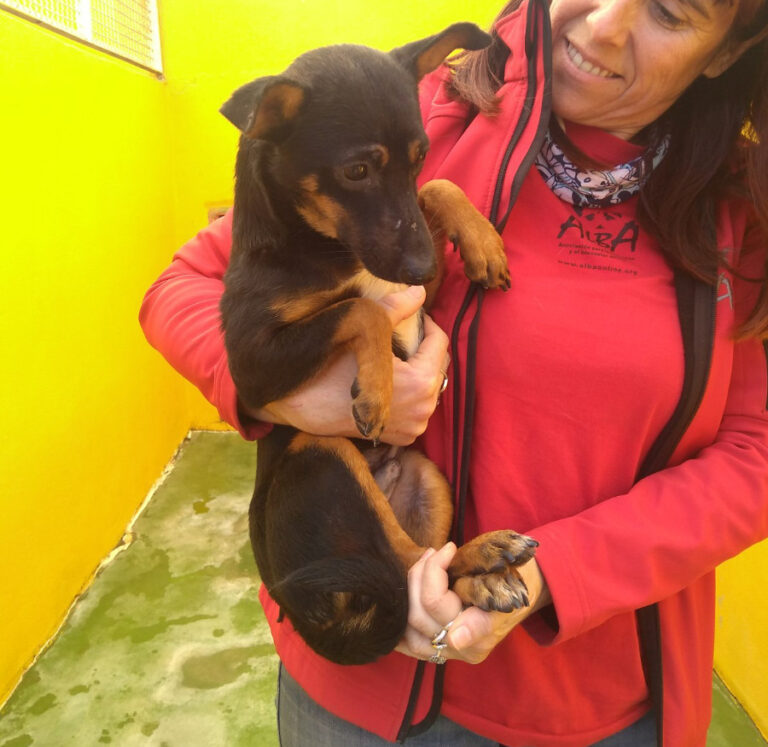 multimedia-foto53612-962-1