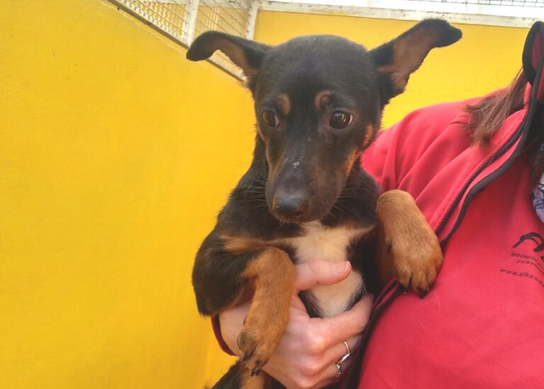 multimedia-foto53613-963-1