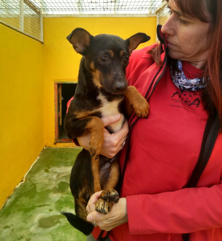 multimedia-foto53614-963-1