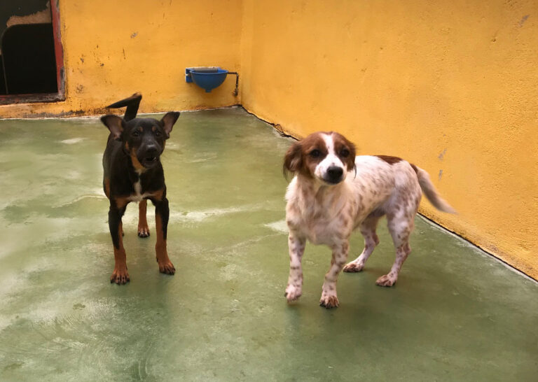 multimedia-foto53615-963-1