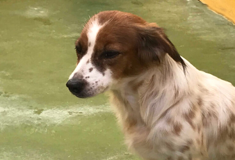 multimedia-foto53616-943-1