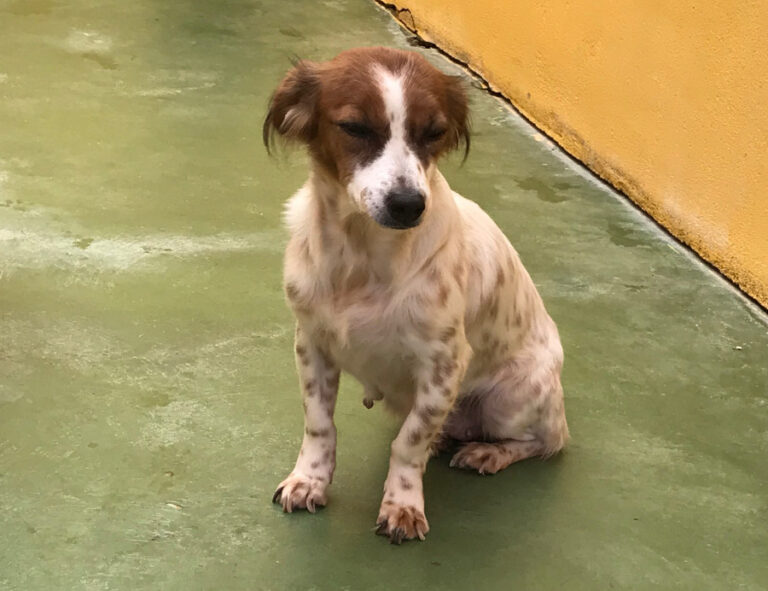 multimedia-foto53617-943-1