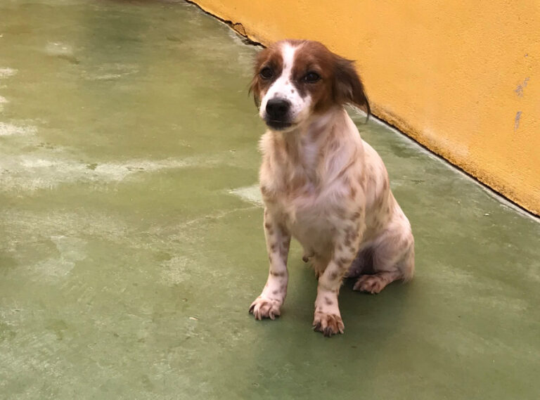 multimedia-foto53618-944-1