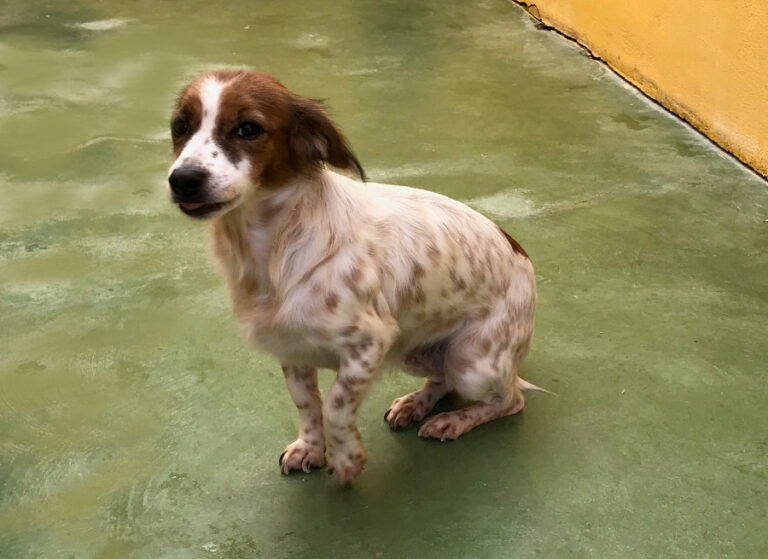 multimedia-foto53619-944-1