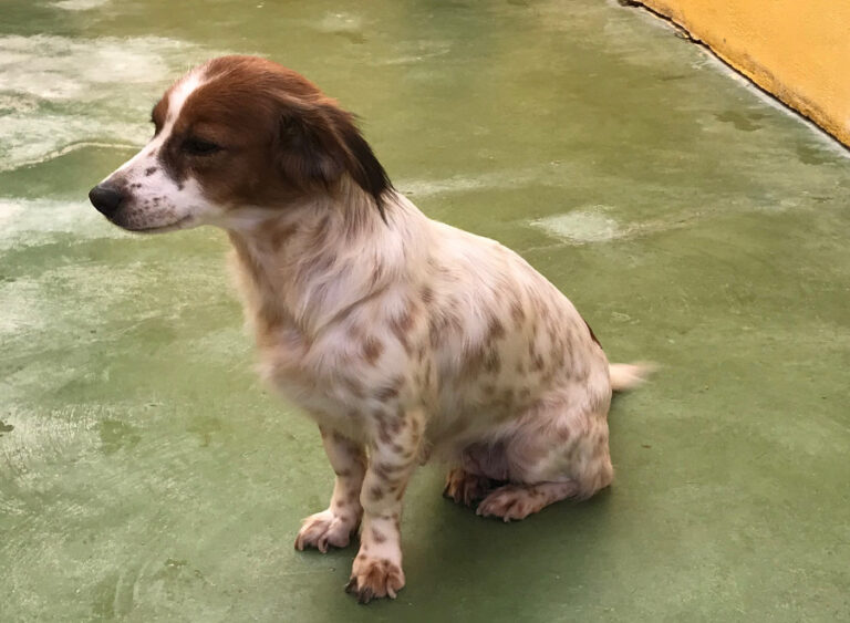 multimedia-foto53620-944-1