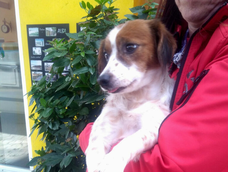 multimedia-foto53622-945-1