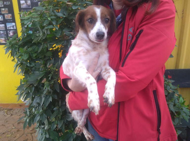 multimedia-foto53623-945-1