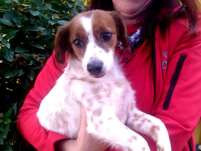 multimedia-foto53624-945-1