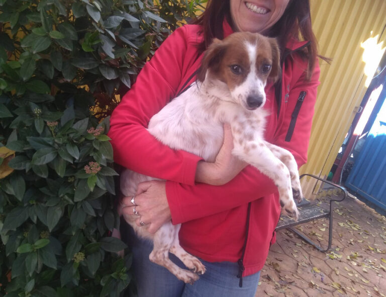 multimedia-foto53625-946-1