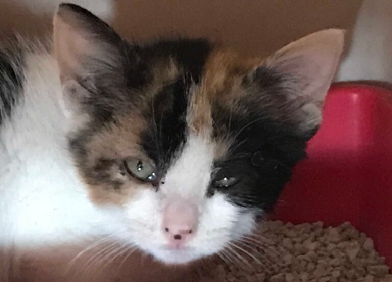 multimedia-foto53640-125-1