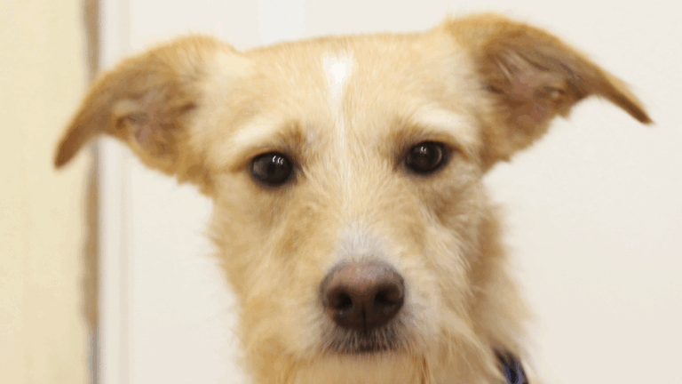 multimedia-foto53712-856-1