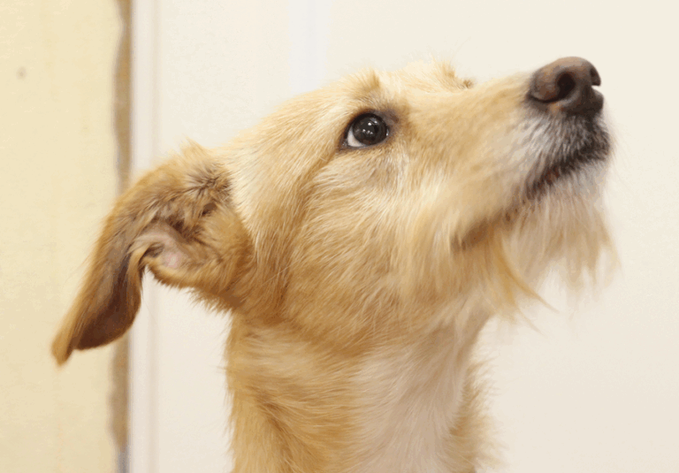 multimedia-foto53713-857-1