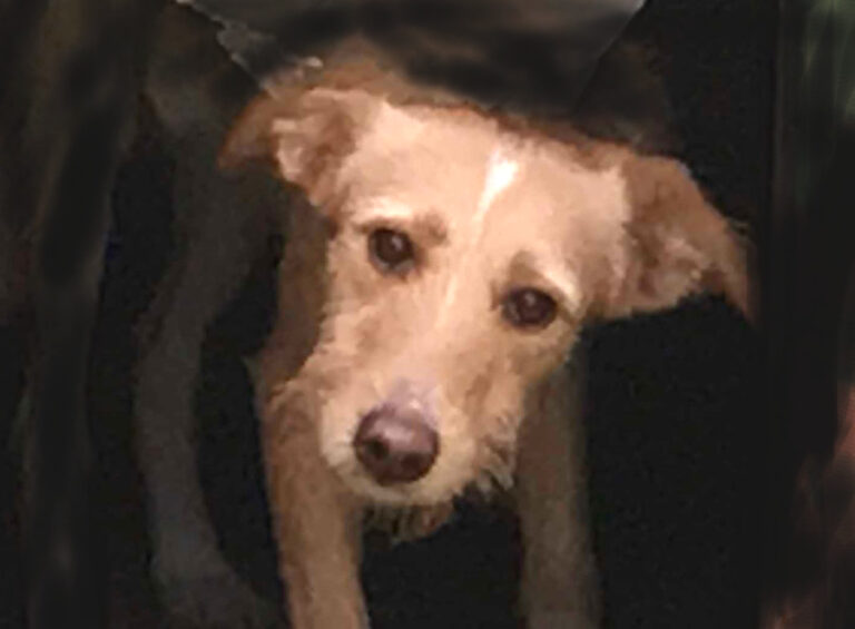 multimedia-foto53715-858-1