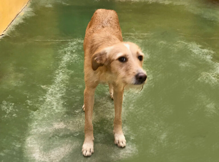 multimedia-foto53716-858-1