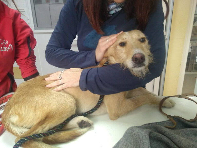 multimedia-foto53717-858-1