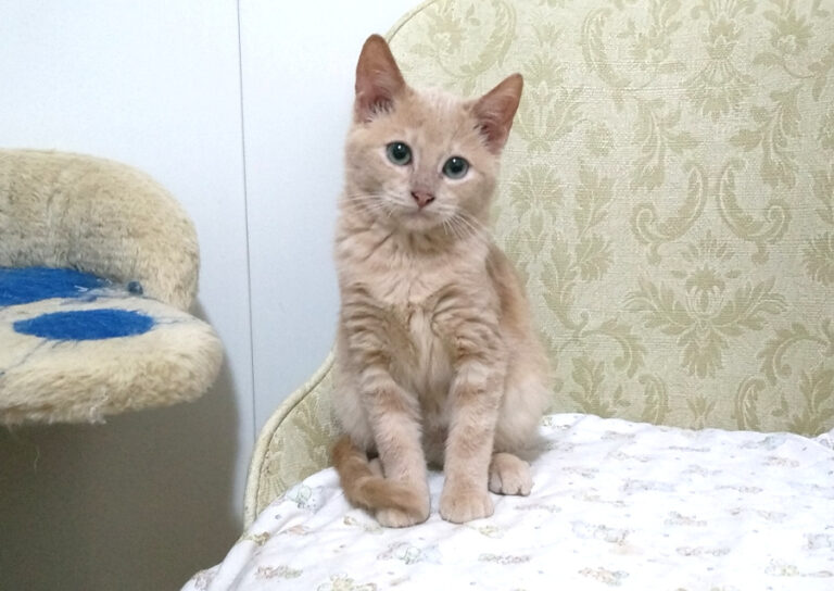 multimedia-foto53748-631-1