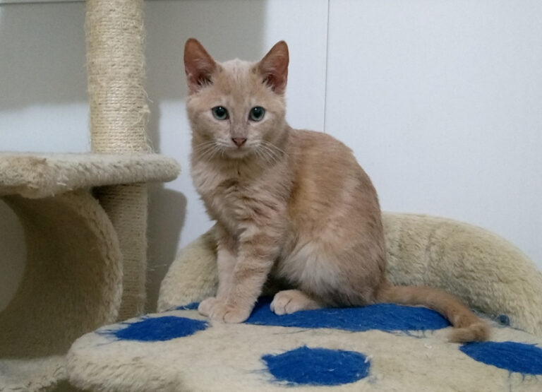 multimedia-foto53749-631-1