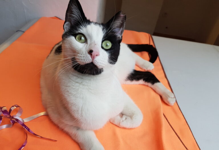 multimedia-foto53765-117-1