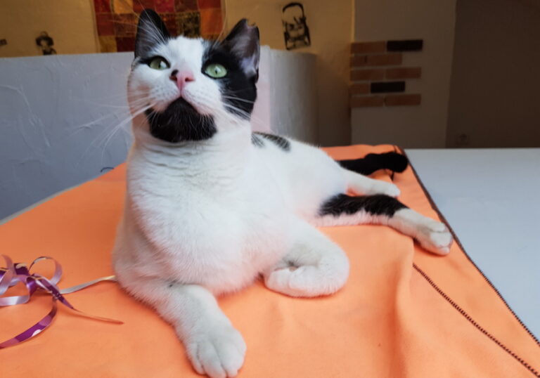 multimedia-foto53766-117-1