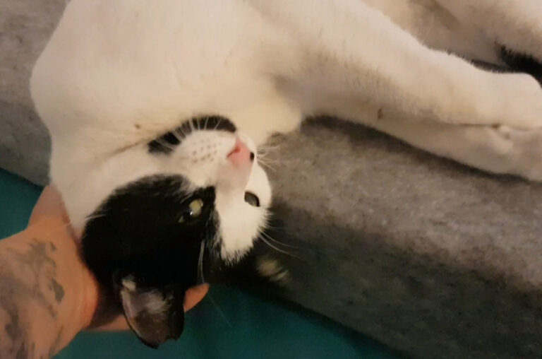 multimedia-foto53769-117-1