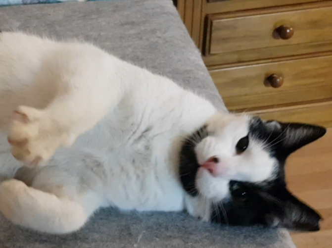 multimedia-foto53771-118-1