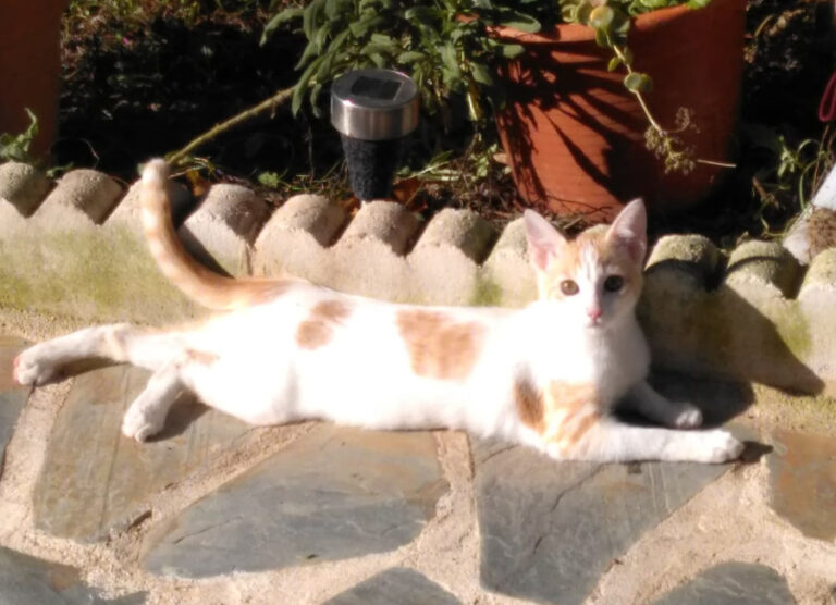 multimedia-foto53811-844-1