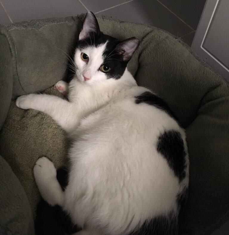 multimedia-foto53817-144-1