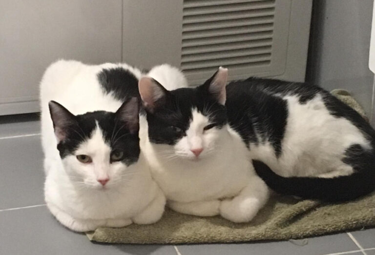 multimedia-foto53818-144-1