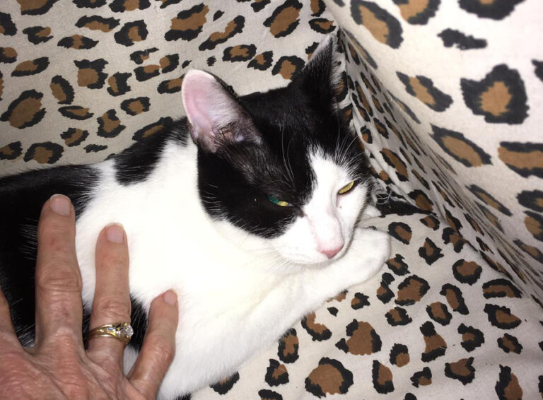 multimedia-foto53819-214-1