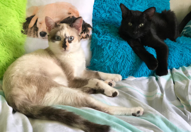 multimedia-foto53826-116-1