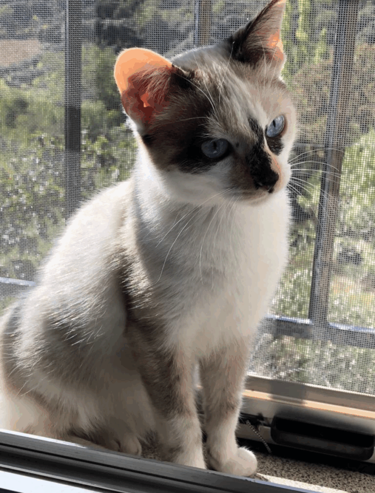 multimedia-foto53827-117-1