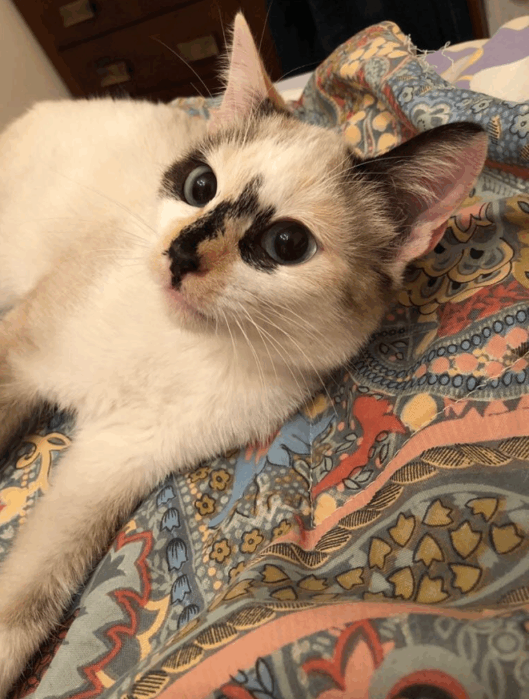 multimedia-foto53828-117-1