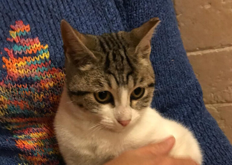 multimedia-foto53841-208-1