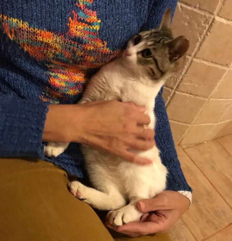 multimedia-foto53847-208-1