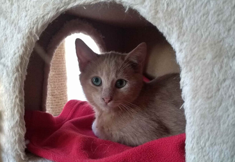 multimedia-foto53943-864-1