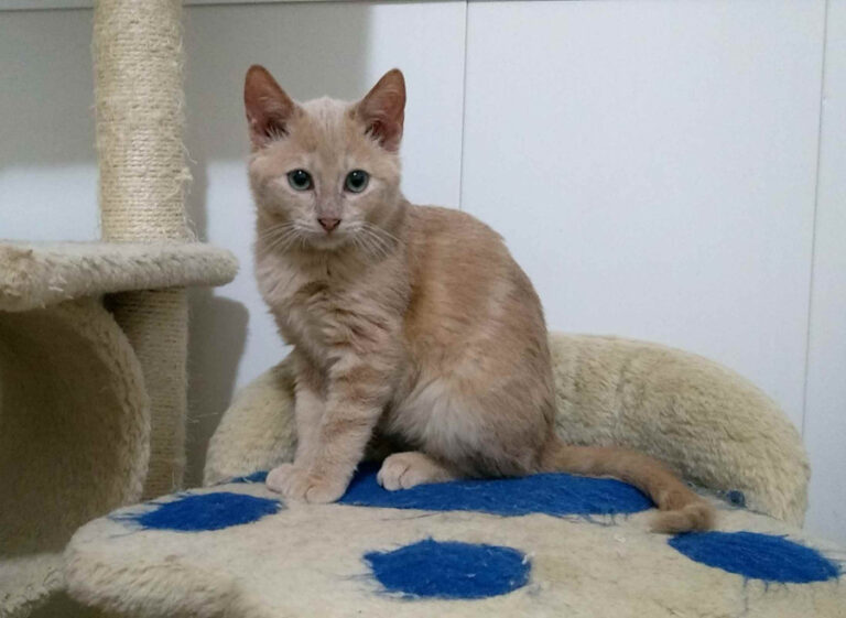 multimedia-foto53945-864-1