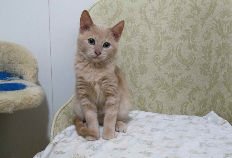 multimedia-foto53946-864-1