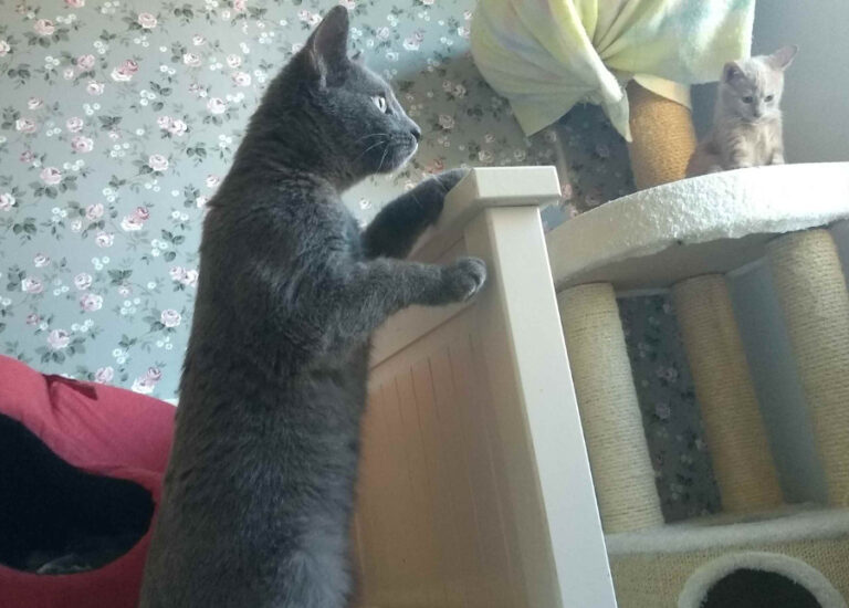 multimedia-foto53947-864-1