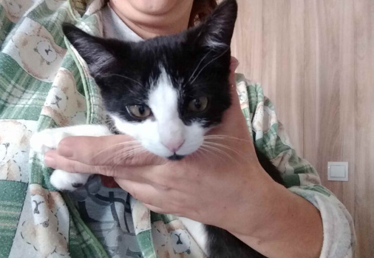 multimedia-foto53951-30-1