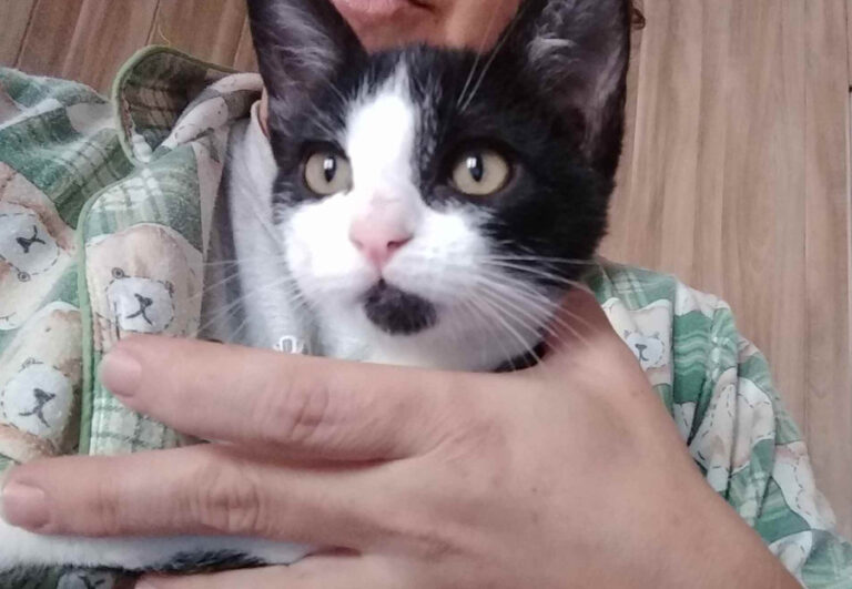 multimedia-foto53953-31-1