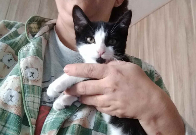 multimedia-foto53954-31-1