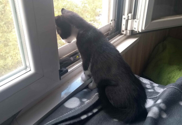 multimedia-foto53956-31-1