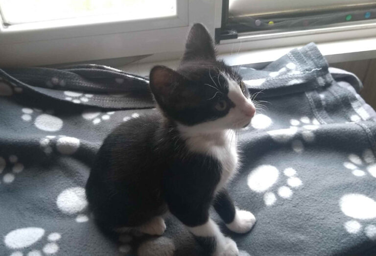 multimedia-foto53957-32-1