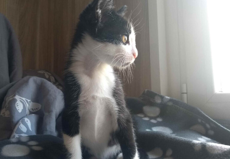 multimedia-foto53960-32-1