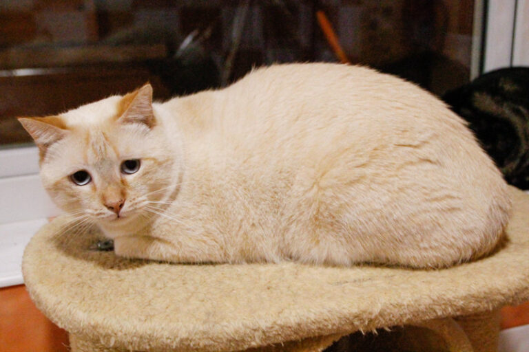 multimedia-foto54005-130-1