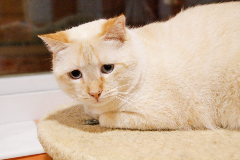 multimedia-foto54006-130-1